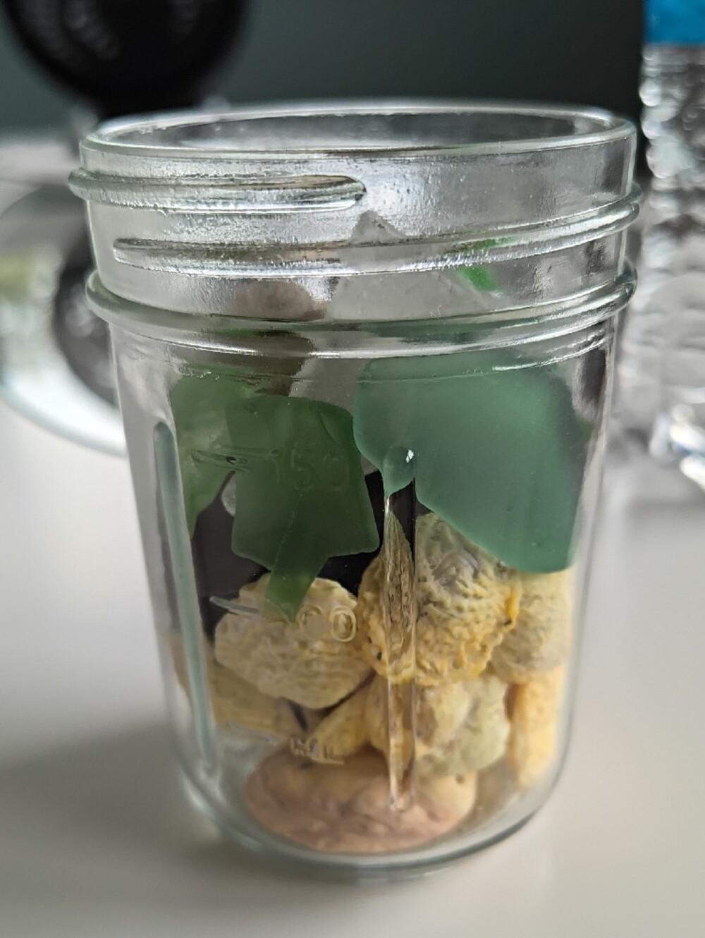 Seaglass & Shell Display - Picture 4 of 9